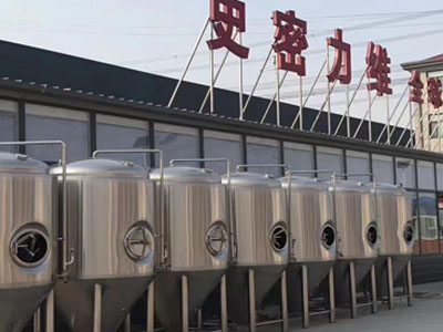 故城精酿啤酒设备厂—如何判断精酿啤酒设备的密封件需要更换？